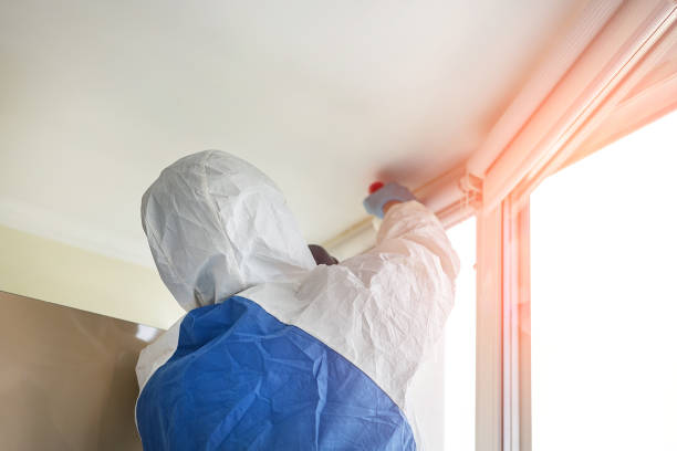 Best Commercial Mold Inspection  in Stanley, WI