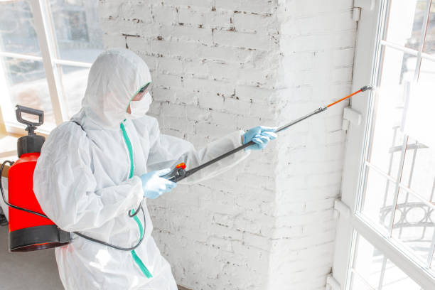 Best Commercial Mold Inspection  in Stanley, WI