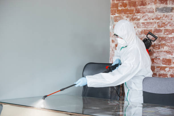 Stanley, WI Mold Removal & Remediation Company